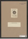 Coscinodiscus diversus Grun. (de-Toni-Nr.: Genus 202, Species 4961) Zeichnungen Sammlung Grunow Nr. 8552 (NHMW-BOT-W0378191)